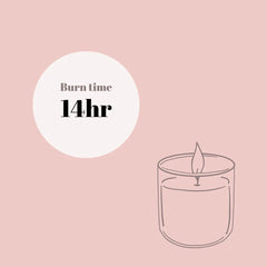 "Frolick Through The Forest" Woodland Chateau Luxury 2-Wick Soy Candle Gift Sets